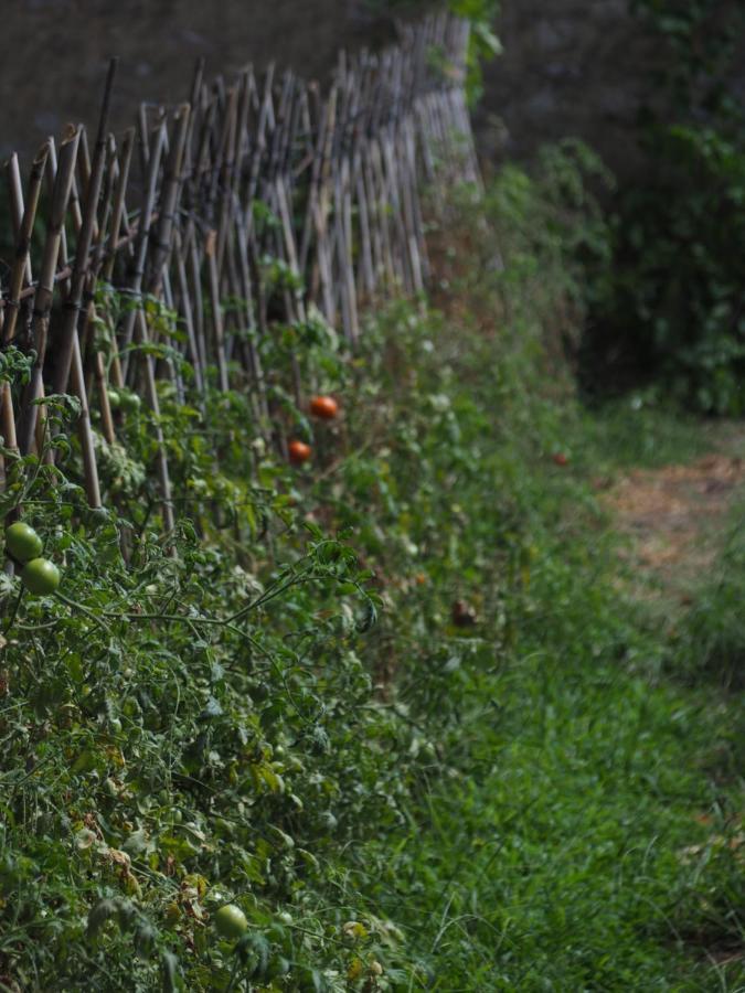 Turismo Rural Can Massot Darnius Esterno foto